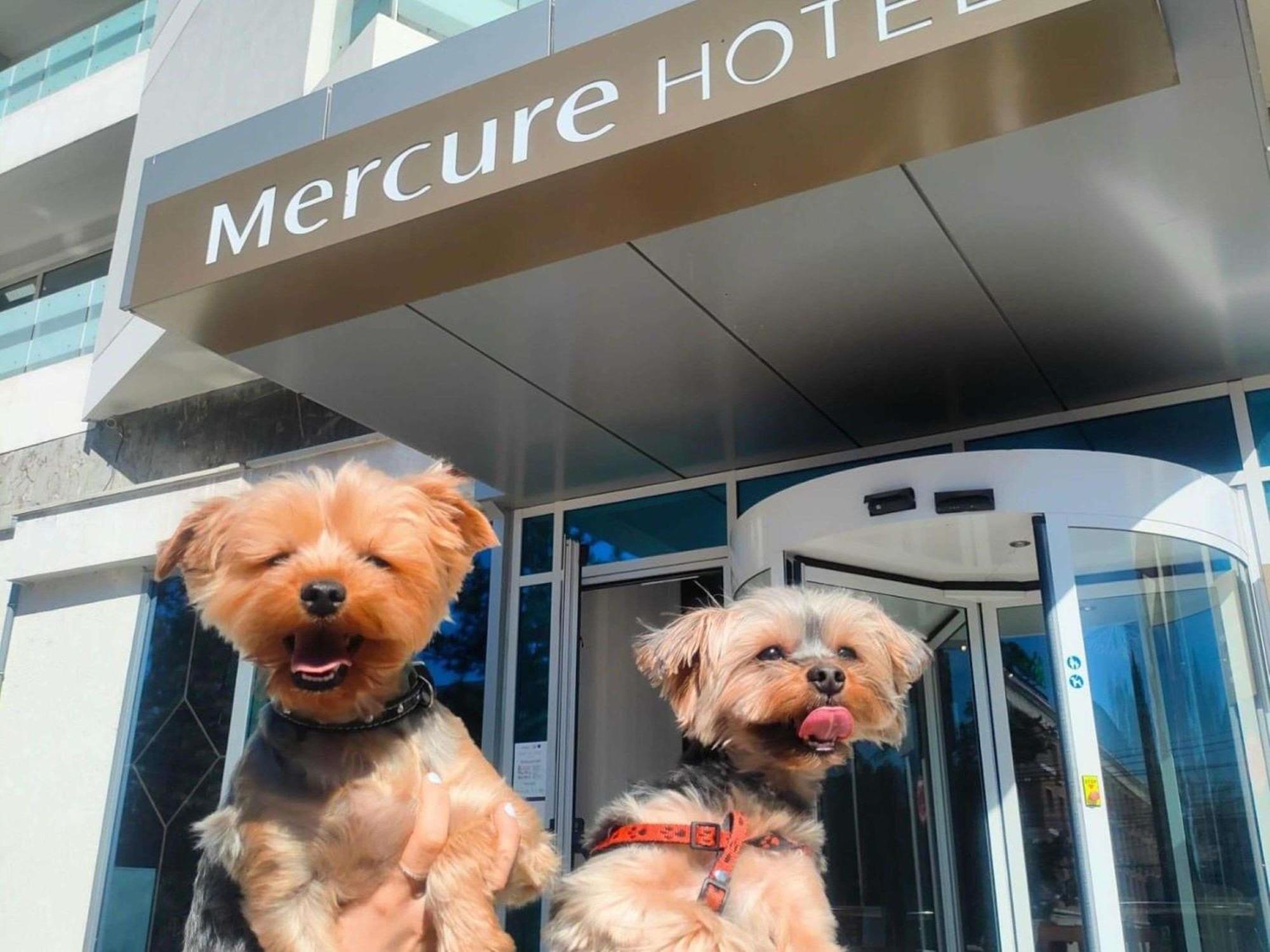 Mercure Centrum Hotel 4*